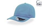Sapca DAD HAT 1