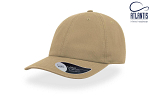 Sapca DAD HAT 1