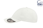 Sapca DAD HAT 4