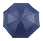 umbrela , Ziant 1