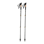 DENALI walking sticks 2