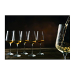 MORETON White wine glasses 6 2