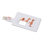 Creditcard. USB flash 32GB     MO1059-06 1