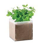 Compost cu seminte MINT 1