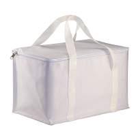 Cooler bag with silver interior