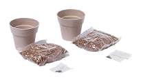 set plante, Silta