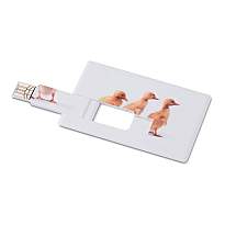 Creditcard. USB flash     4GB  MO1059-06