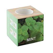 Ghiveci lemn MINT