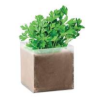 Compost cu seminte PARSLEY