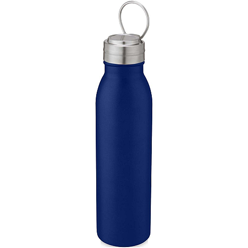 Harper 700 ml stainless steel water bottle with metal loop 1