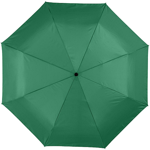 Alex 21.5 foldable auto open/close umbrella 4