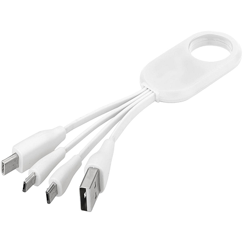 Troup 4-in-1 charging cable with type-C tip 1