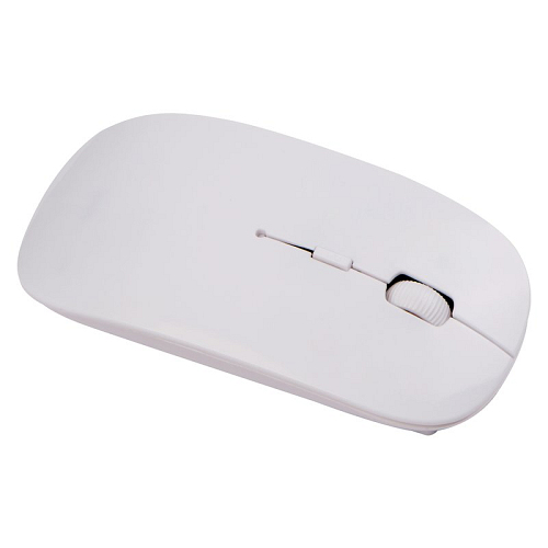 Mouse pentru calculator 1