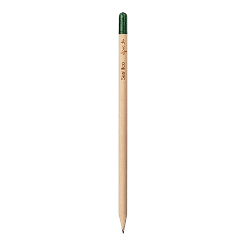 Sprout pencil made of sustainable wood with graphite lead. plantable after use 3