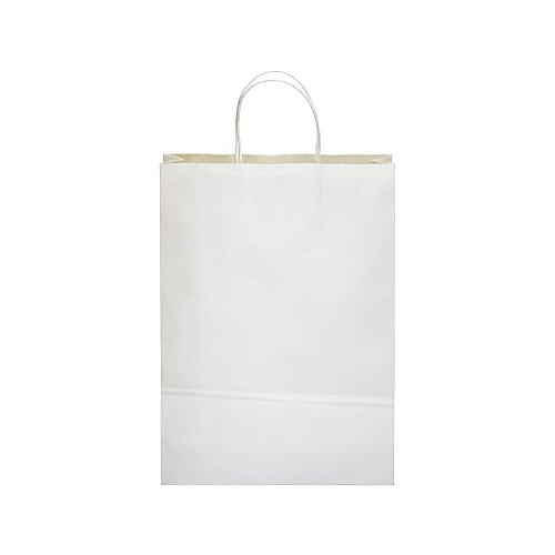100 gr/m2 paper shopping bag with guesset 2