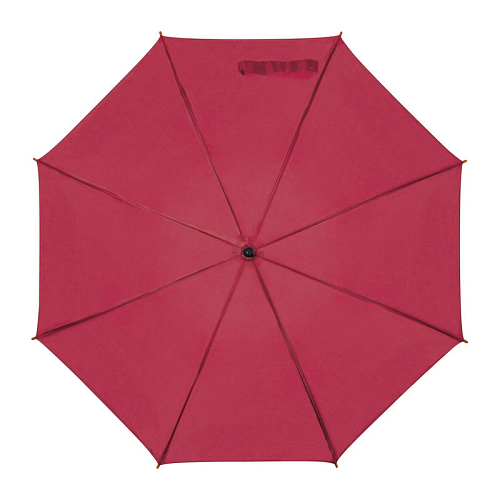 Automatic umbrella 2