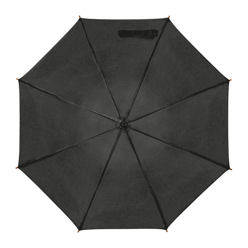 Automatic umbrella 2
