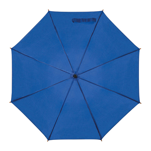 Automatic umbrella 2