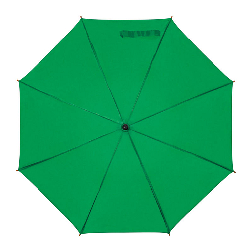 Automatic umbrella 2