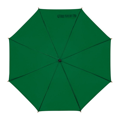 Automatic umbrella 2