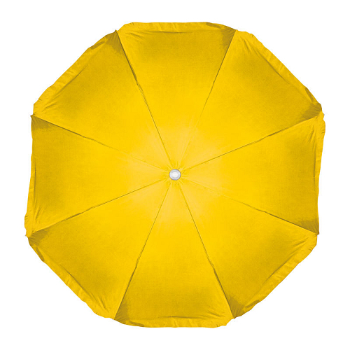 Parasol in a transparent bag 4