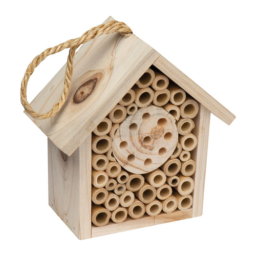 Casuta pentru insecte 1