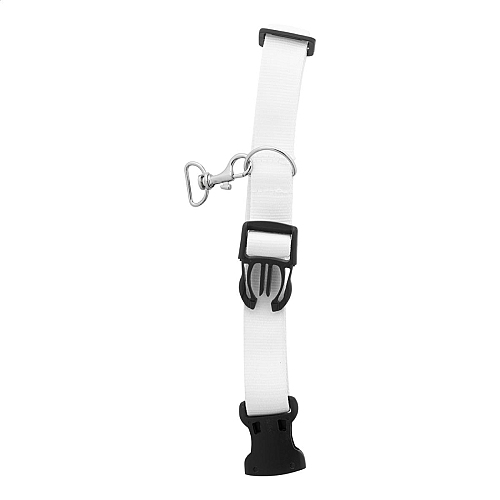 zgarda pentru caini, personalizata, Ziggy 2