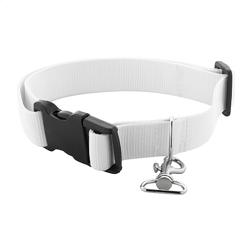 zgarda pentru caini, personalizata, Ziggy 4