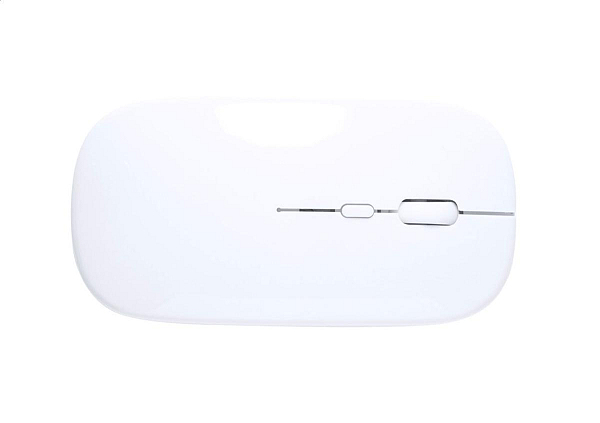 mouse optic RABS, Rabick 2