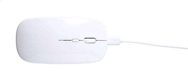 mouse optic RABS, Rabick 3
