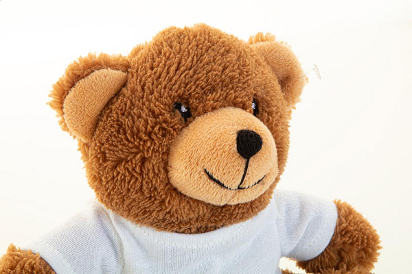 Ursulet de plus, RPET, Rebear 2
