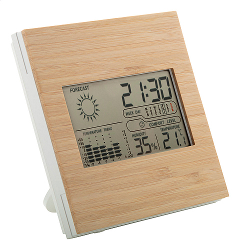 statie meteo din bambus, Boocast 1