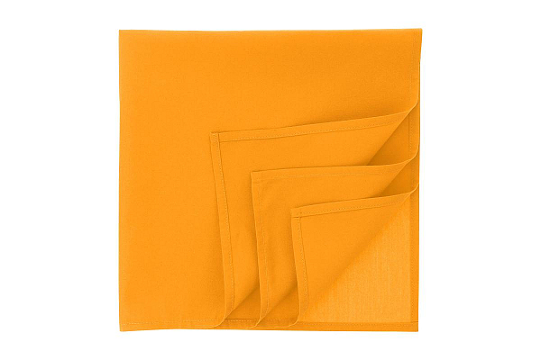 Bandana GOAL-S Atlantis 1