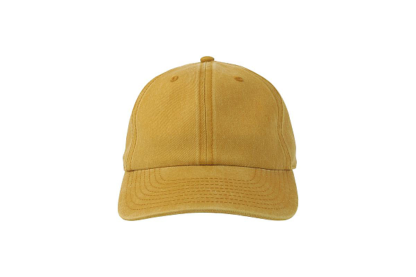 DIGG-S MUSTARD 2
