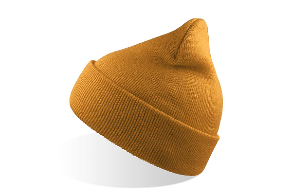 WIND-S MUSTARD 1