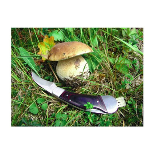 PILZ mushroom knife 2