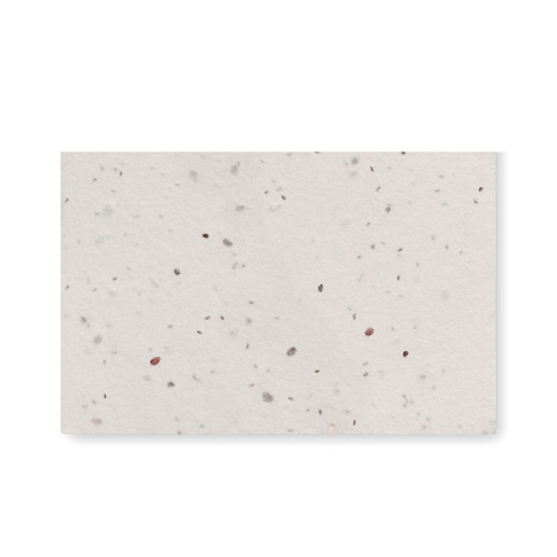 Carte de vizita cu seminte de f 1