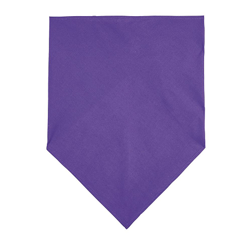 BANDANA DARK PURPLE 2