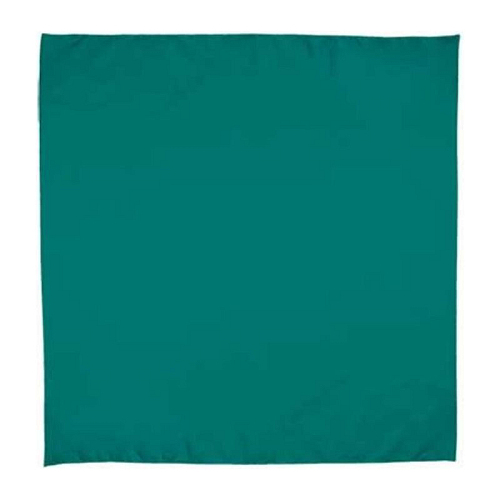 Square Handkerchief Bandana 2