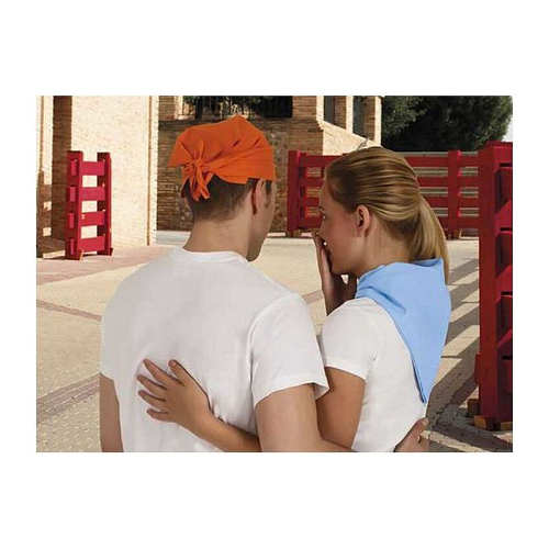 Square Handkerchief Bandana 2