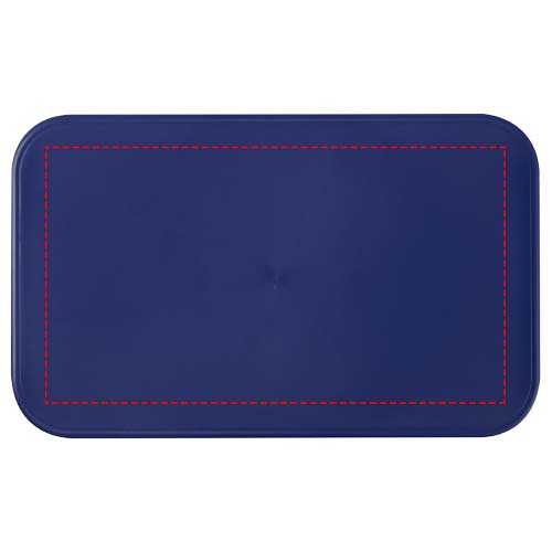 MIYO single layer lunch box 4