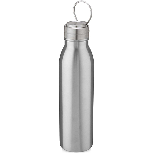 Harper 700 ml stainless steel water bottle with metal loop 1