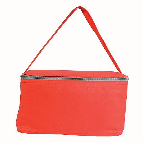 Non-woven fabric cooler bag with silver interior 2