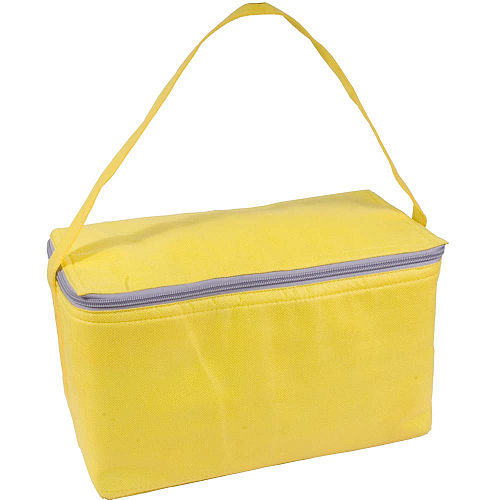 Non-woven fabric cooler bag with silver interior 1