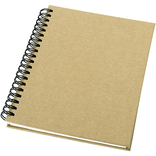 Mendel recycled notebook 1