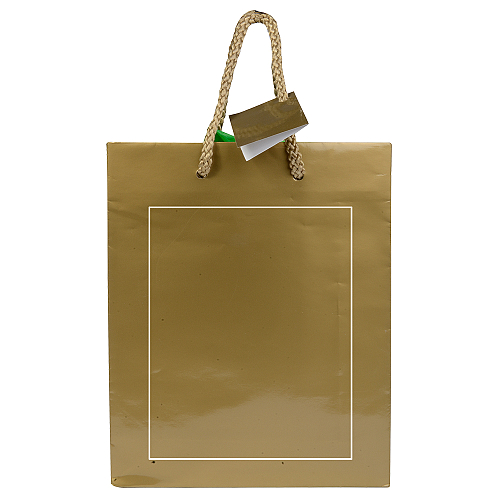 157 g/m2 laminated paper shopping bag with gusset and bottom reinforcement, string handles 3