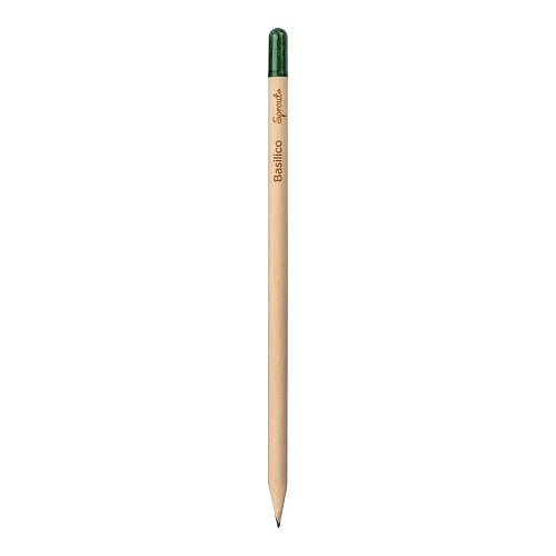 Sprout pencil made of sustainable wood with graphite lead. plantable after use 3