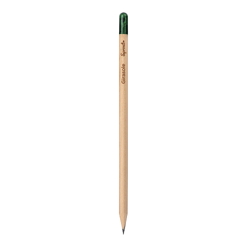 Sprout pencil made of sustainable wood with graphite lead. plantable after use 4