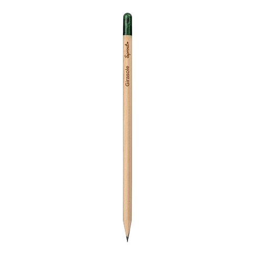 Sprout pencil made of sustainable wood with graphite lead. plantable after use 4