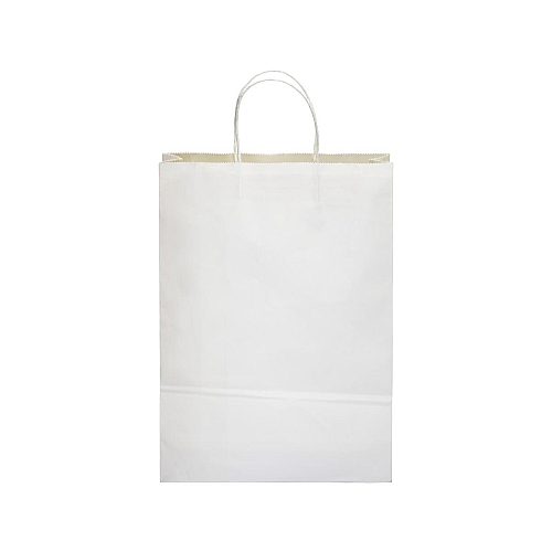 100 gr/m2 paper shopping bag with guesset 2
